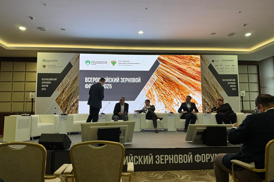 главня (2).png